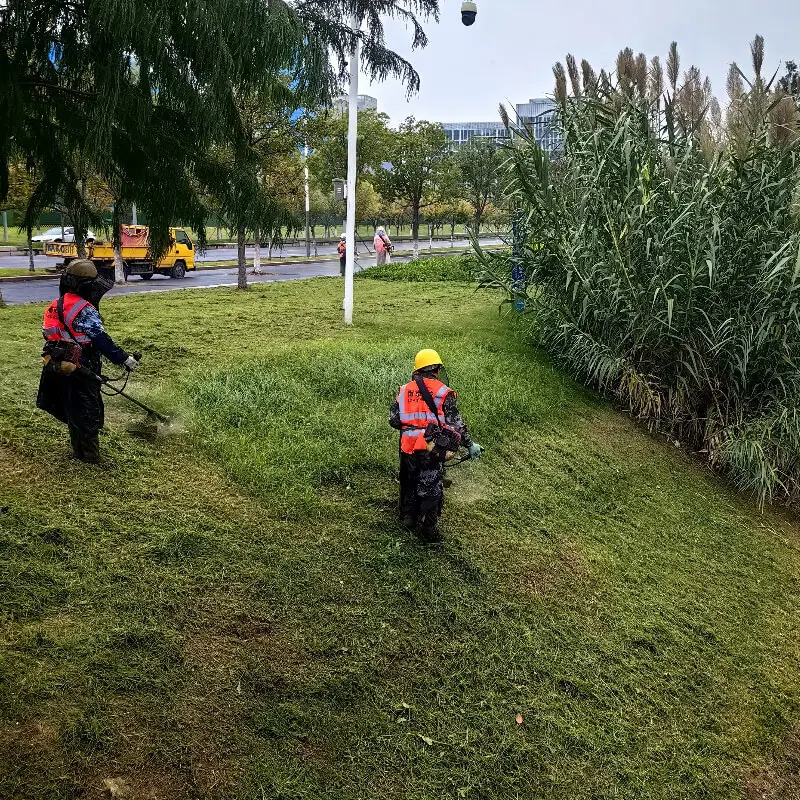 Tagliaerba a zaino al litio per la manutenzione su grandi aree della cintura verde | Fornitore di giardini spaventapasseri