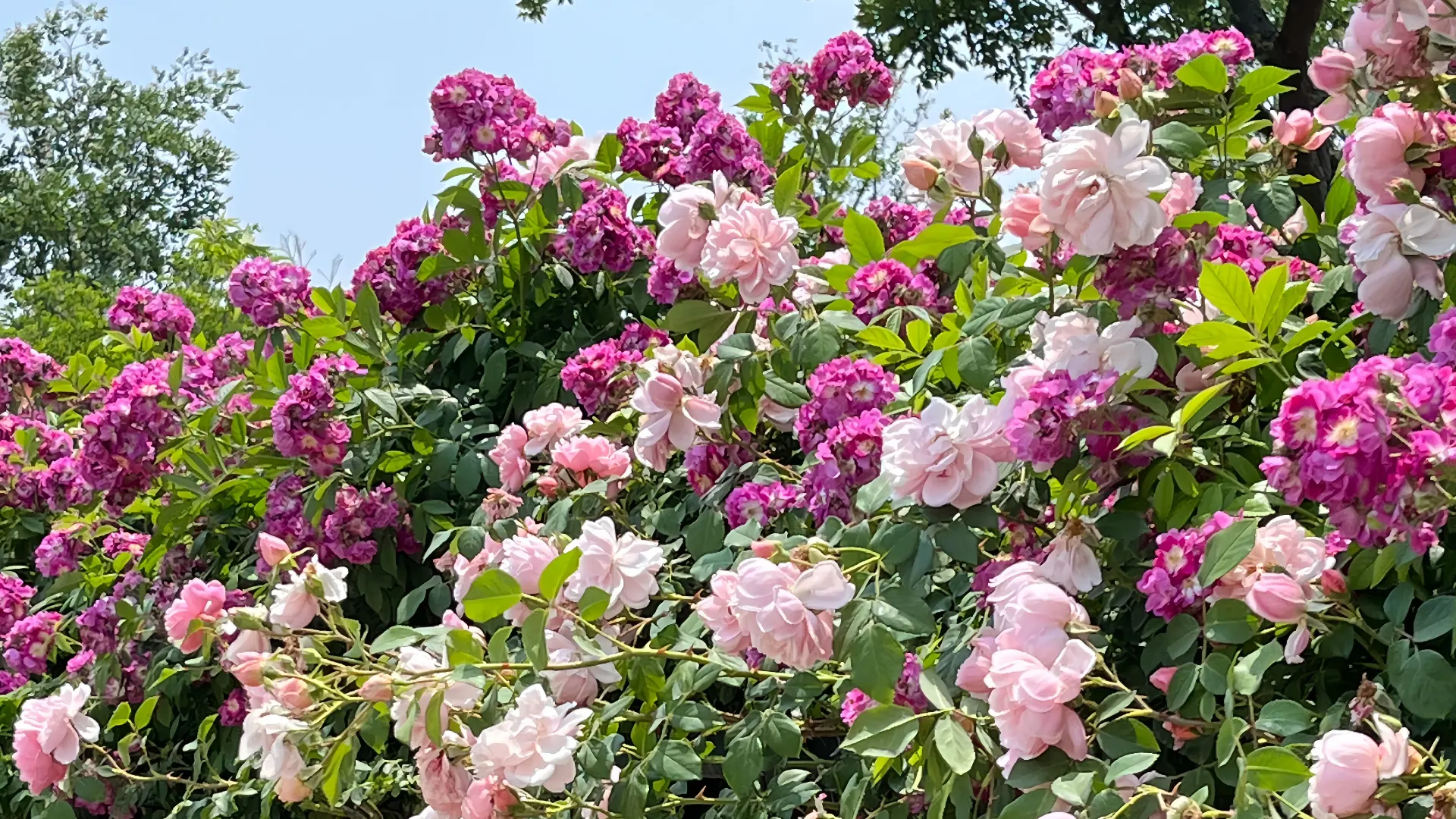 Comment les nouveaux distributeurs peuvent choisir des gammes prometteuses d’outils de jardin