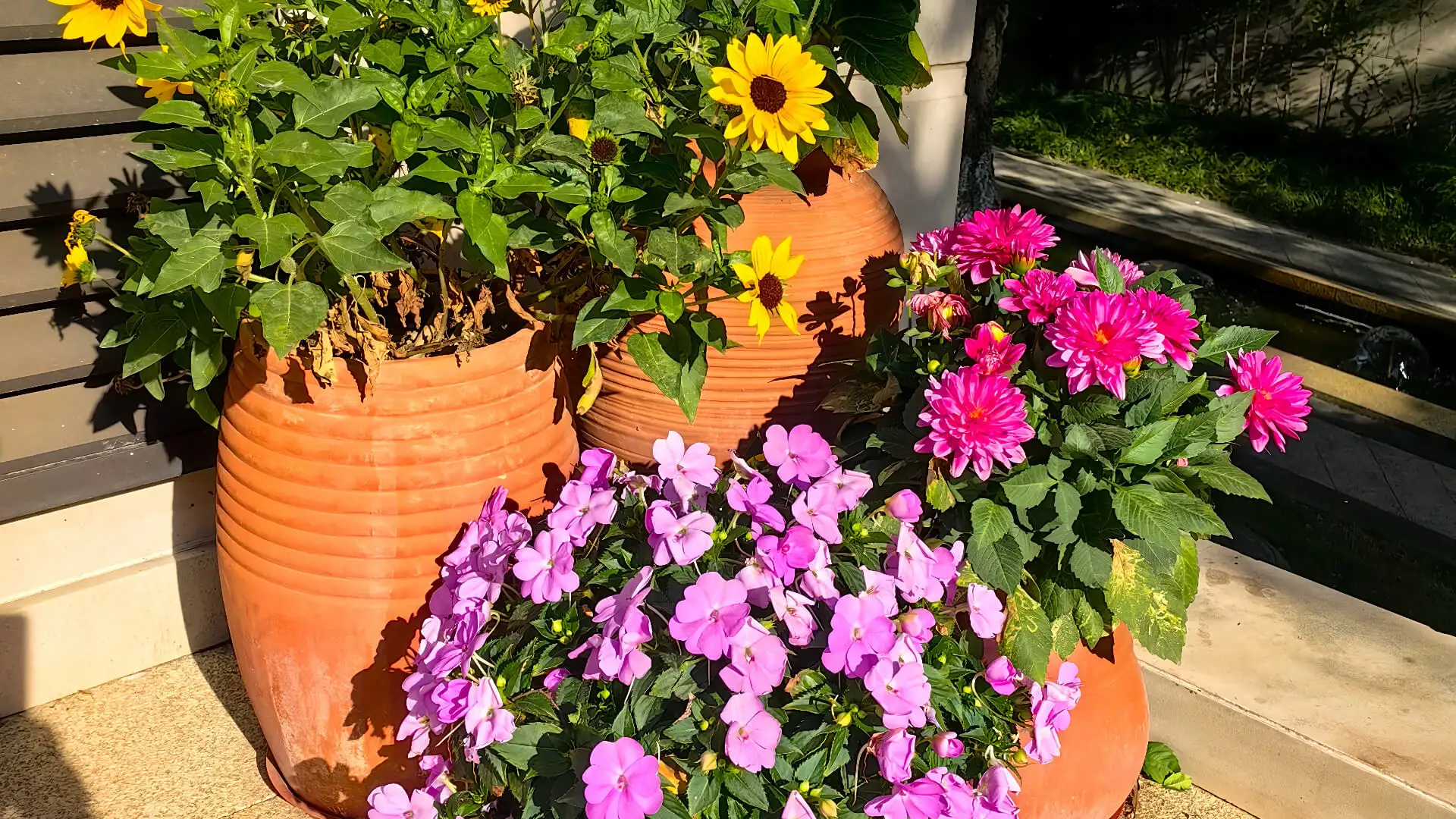 Dalla piantagione alla decorazione: Le forniture da giardino più richieste della primavera