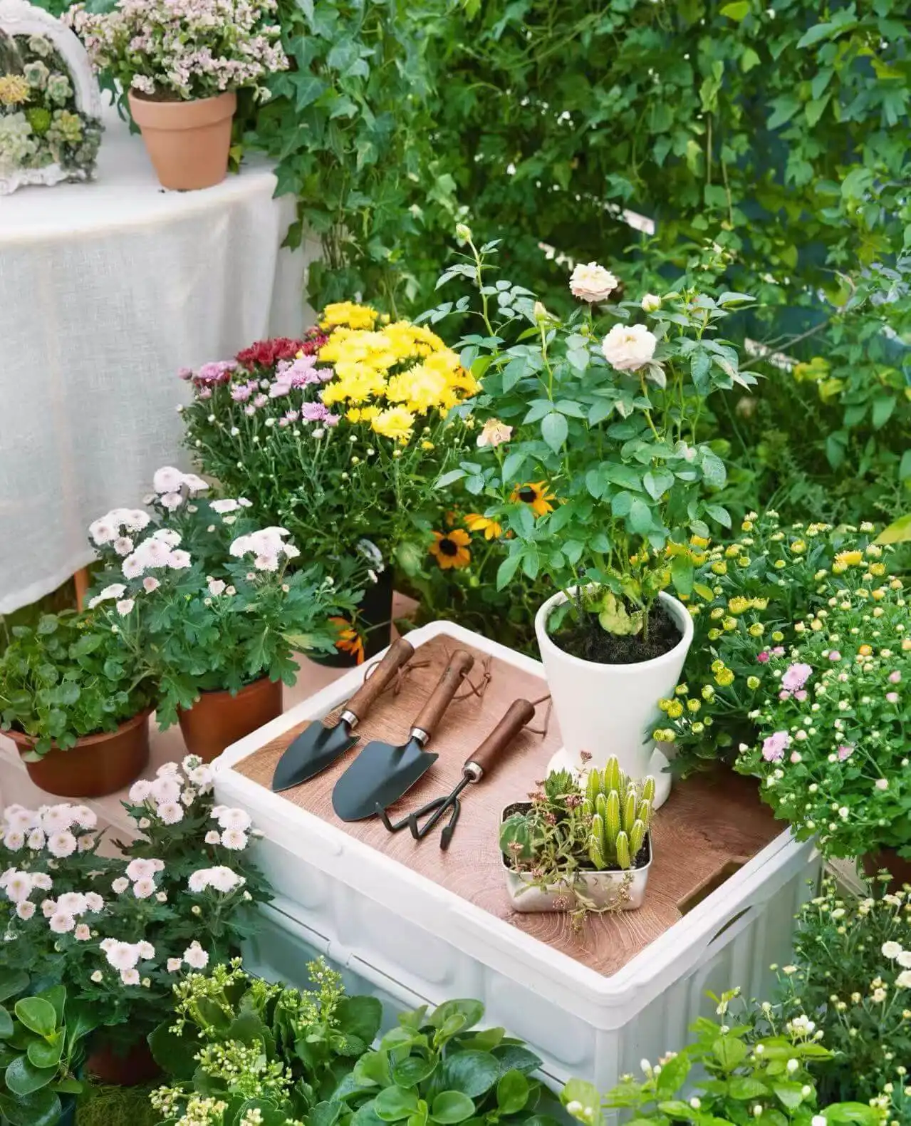 Wholesale Greenhouse & Garden Supplies