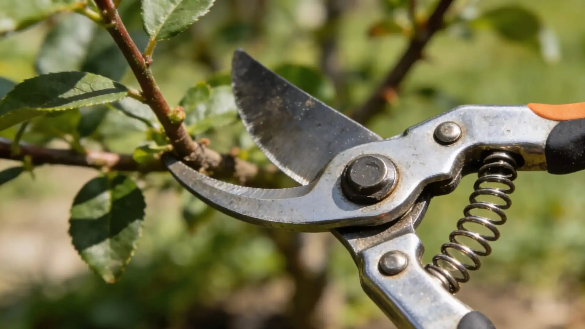 20251222112018_100_2