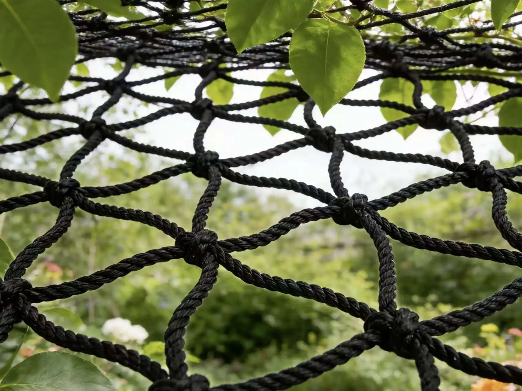 Bird-proof net in the garden