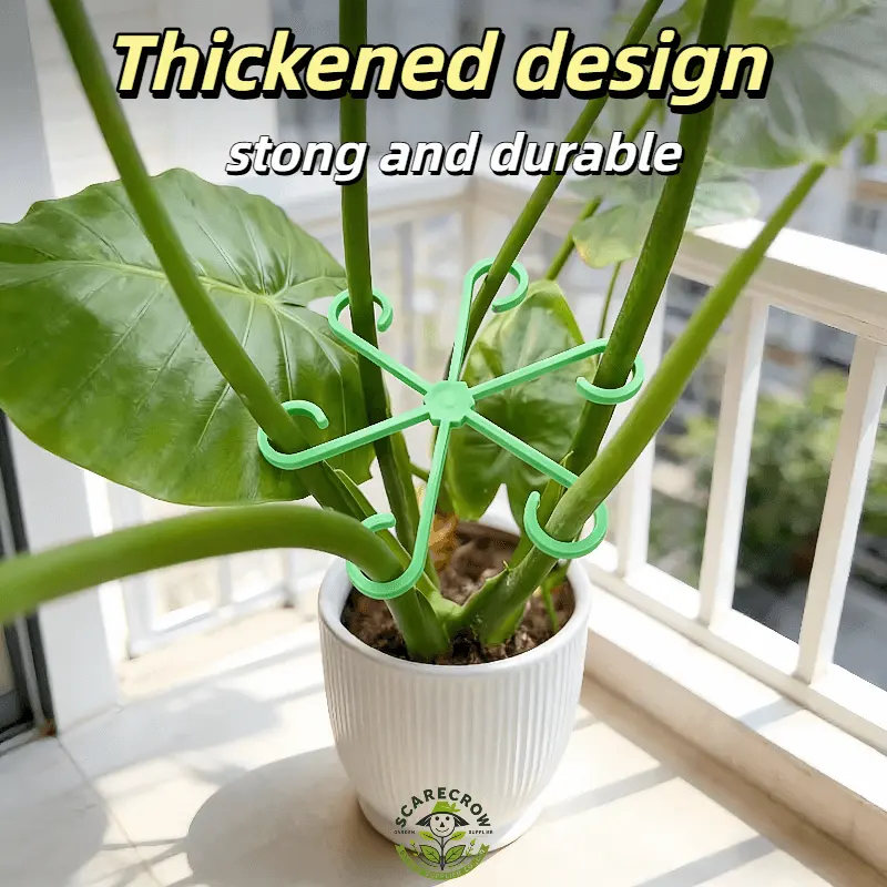 Plastic Plant Support Ring | Scarecrow Garden Supplier