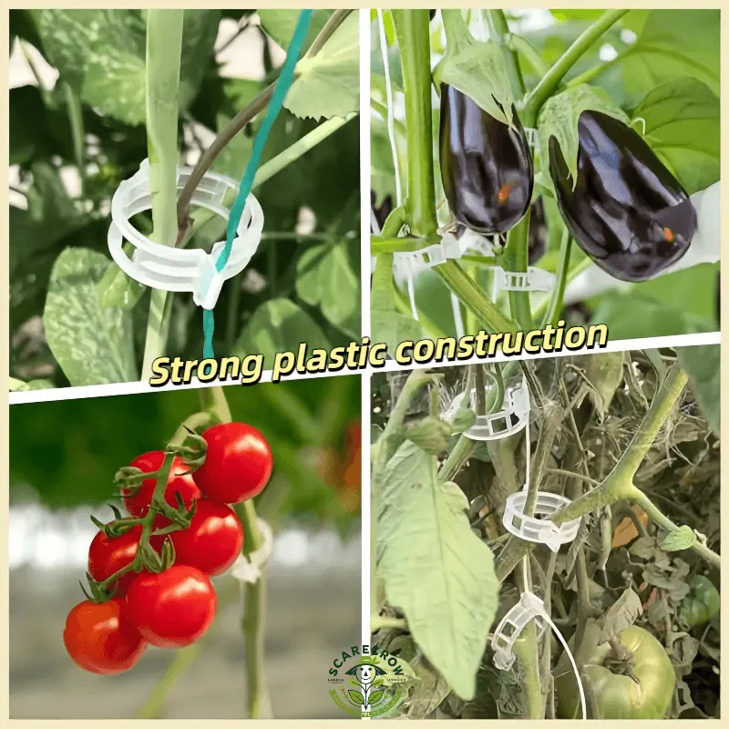 Plastic Tomato Clips for Trellis Training | Scarecrow Garden Supplier