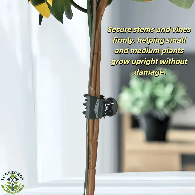 Durable Plant Clips for Training Vines and Supporting Stems08