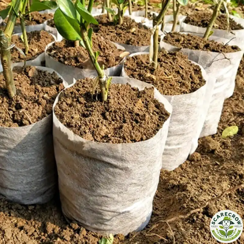 Wholesale Seedling Grow Bags | Scarecrow Garden Supplier