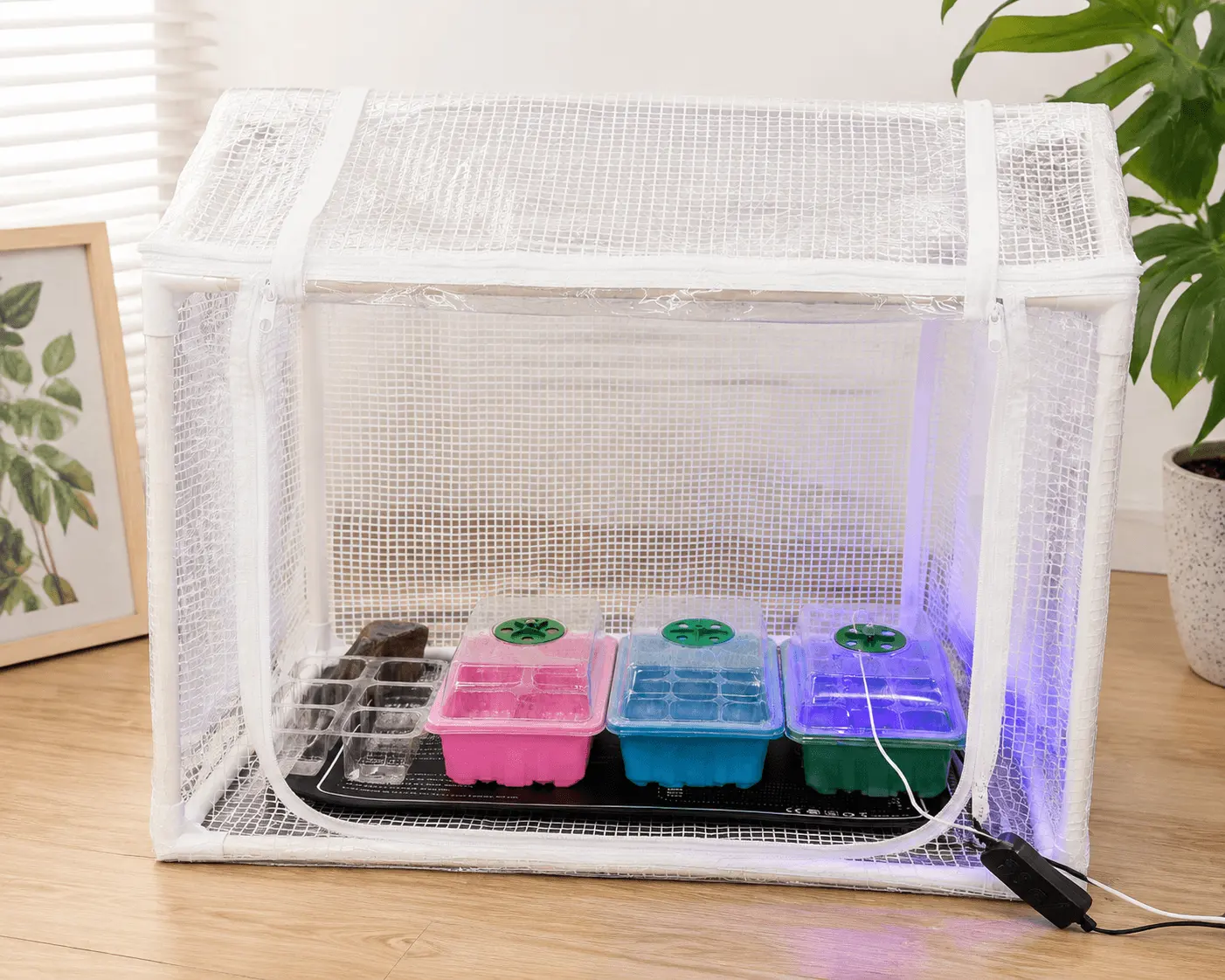 compare-mini-greenhouse-supplier-quotes.webp compare mini greenhouse supplier quotes