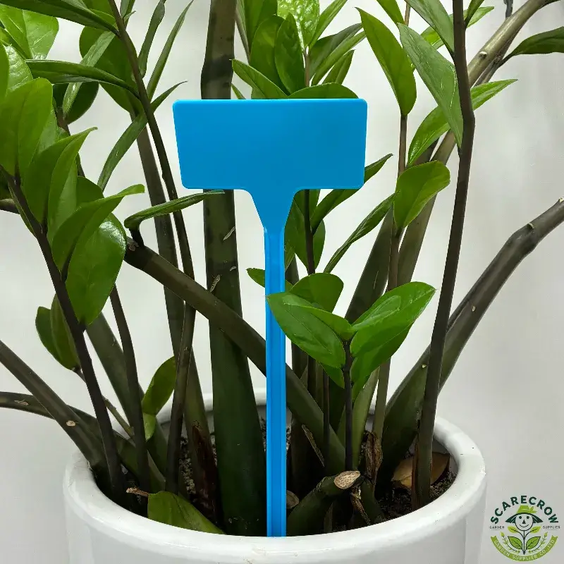 pp-plant-label-moulding-defects.webp PP plant label edge and moulding defects checked during bulk inspection